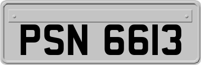 PSN6613