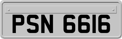 PSN6616