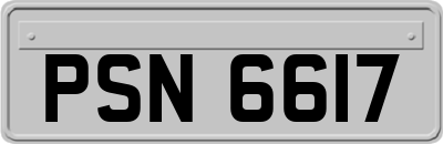 PSN6617