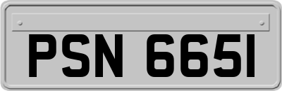 PSN6651