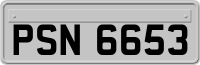 PSN6653