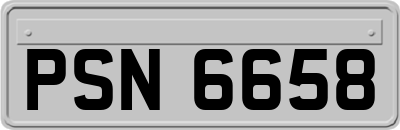 PSN6658