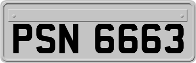 PSN6663