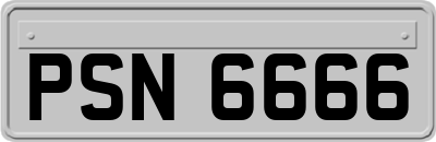 PSN6666