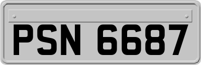 PSN6687