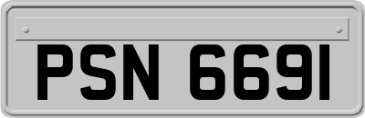 PSN6691