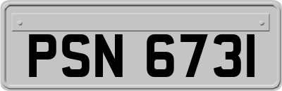 PSN6731