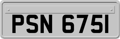 PSN6751