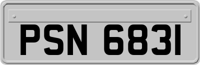 PSN6831