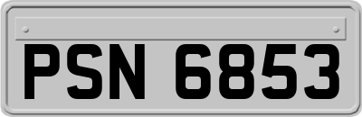 PSN6853