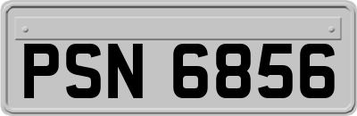 PSN6856