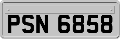 PSN6858
