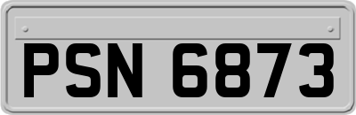 PSN6873