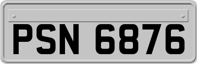 PSN6876