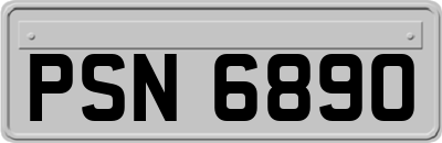 PSN6890