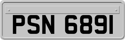 PSN6891