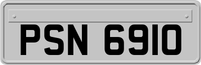 PSN6910