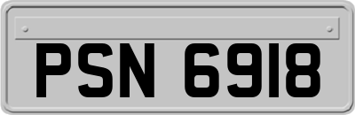 PSN6918