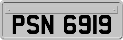 PSN6919