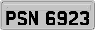 PSN6923