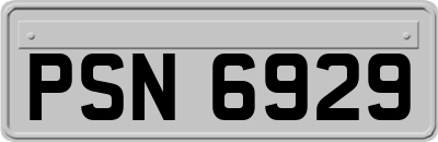 PSN6929