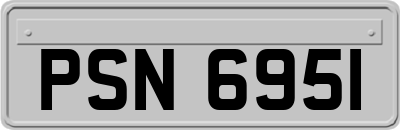 PSN6951