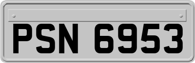 PSN6953