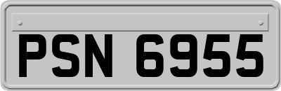 PSN6955