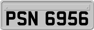 PSN6956