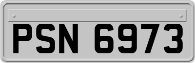 PSN6973