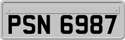 PSN6987