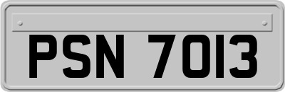 PSN7013