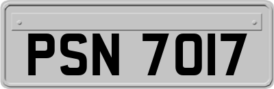 PSN7017