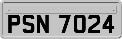 PSN7024