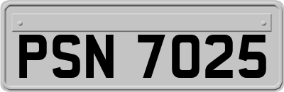 PSN7025