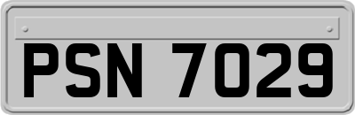 PSN7029