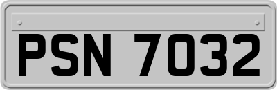 PSN7032