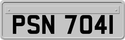 PSN7041