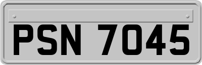 PSN7045