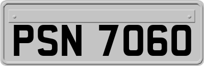 PSN7060