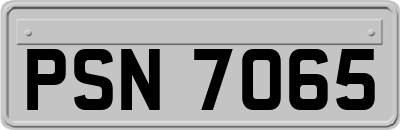 PSN7065