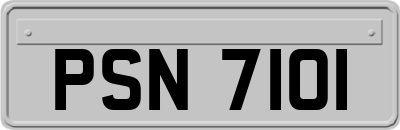 PSN7101