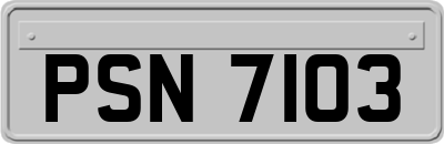 PSN7103