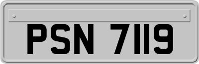 PSN7119