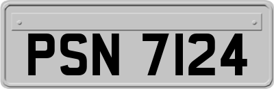 PSN7124