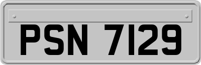 PSN7129