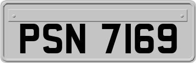 PSN7169