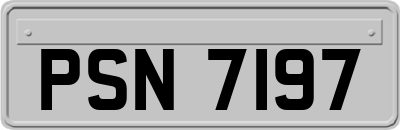 PSN7197