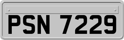 PSN7229
