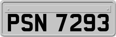 PSN7293